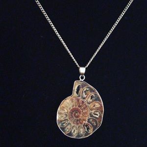 Snail Shaped Tumbled Polished Stone Necklace